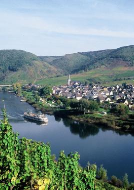 Ferienhaus in Bruttig-Fankel (Mosel - Saar) oder Ferienwohnung oder Ferienhaus