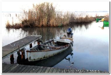 Ferienwohnung in Oristano (Oristano) oder Ferienwohnung oder Ferienhaus