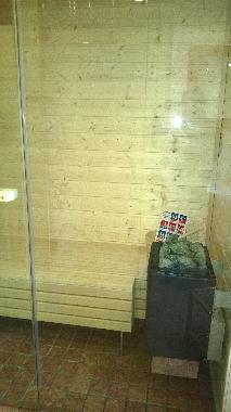 moderne Sauna mit Glaswand