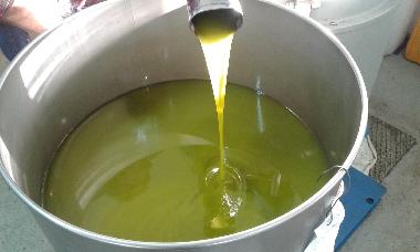 hausgemachtene oliven oil