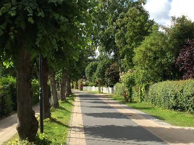 Ferienwohnung in Zingst (Fischland-Dar�-Zingst) oder Ferienwohnung oder Ferienhaus