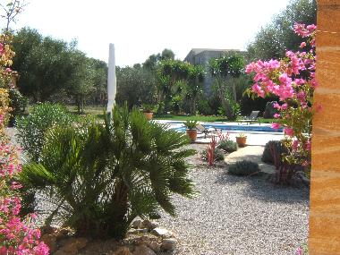 Ferienhaus in Santa Margalida (Mallorca) oder Ferienwohnung oder Ferienhaus