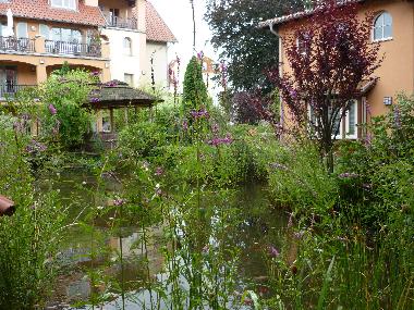 Ferienwohnung in K�hlungsborn (Mecklenburgische Ostseek�ste) oder Ferienwohnung oder Ferienhaus