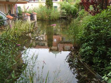 Ferienwohnung in K�hlungsborn (Mecklenburgische Ostseek�ste) oder Ferienwohnung oder Ferienhaus