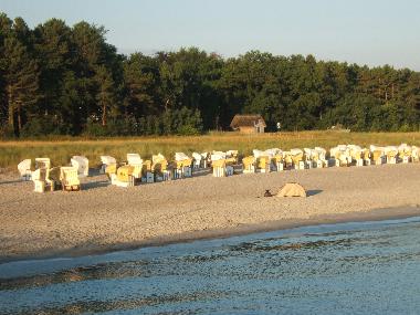 Ferienwohnung in Zingst (Ostsee-Inseln) oder Ferienwohnung oder Ferienhaus