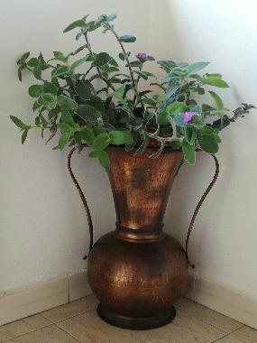 Ferienwohnung in Tropea (Vibo Valentia) oder Ferienwohnung oder Ferienhaus