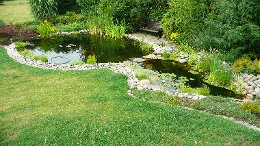 Blick auf den Koiteich