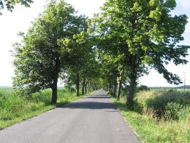 Letzte 2 Km  nach Podamirowo