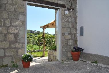 Ferienhaus in forio (Napoli) oder Ferienwohnung oder Ferienhaus