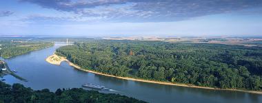 bester Platz auch fr Hunde, die Donauauen sind gleich um die Ecke (80m.)