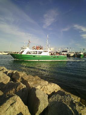 Ferienwohnung in sainte maxime (Var) oder Ferienwohnung oder Ferienhaus