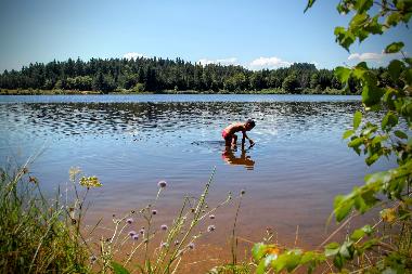 Ferienhaus in chambon sur lignon (Haute-Loire) oder Ferienwohnung oder Ferienhaus