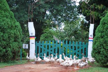 Ferienhaus in Villeta (Central) oder Ferienwohnung oder Ferienhaus
