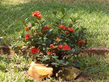 Ferienhaus in Villeta (Central) oder Ferienwohnung oder Ferienhaus