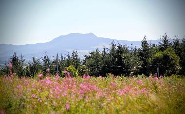 Ferienhaus in chambon sur lignon (Haute-Loire) oder Ferienwohnung oder Ferienhaus