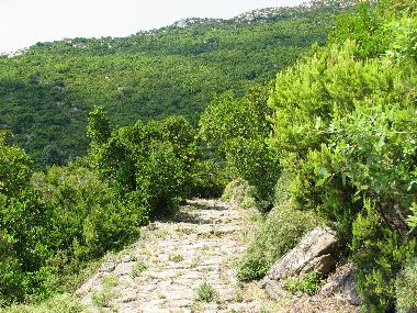 Ferienwohnung in cavo rio marina (Livorno) oder Ferienwohnung oder Ferienhaus