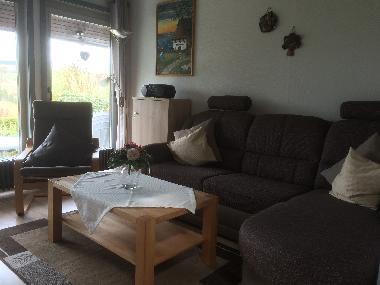 Sauerland : ****Ferienhaus HENNESEE**** : Wohnbereich 