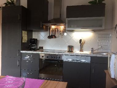 Sauerland : ****Ferienhaus HENNESEE**** : K�chenzeile mit Sp�lmaschine und Ceranfeld