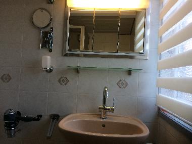 Sauerland : ****Ferienhaus HENNESEE**** : Bad