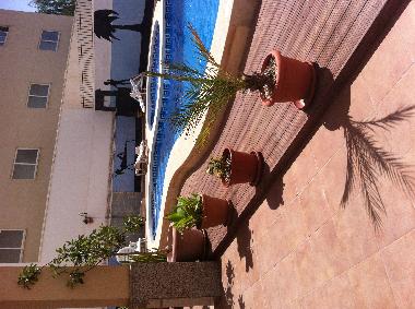 Ferienwohnung in almoradi (Alicante / Alacant) oder Ferienwohnung oder Ferienhaus