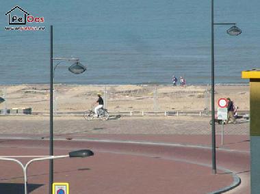 Ferienwohnung in Noordwijk aan Zee (Zuid-Holland) oder Ferienwohnung oder Ferienhaus