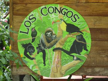 Ferienhaus in Puerto Viejo/Cocles (Limon) oder Ferienwohnung oder Ferienhaus