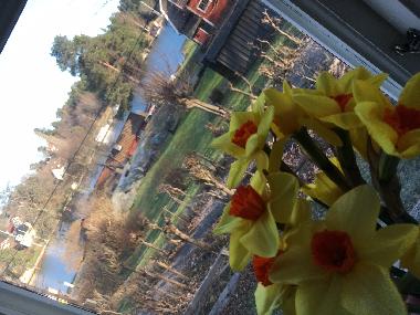 Ferienhaus in Vaxholm (Stockholm) oder Ferienwohnung oder Ferienhaus