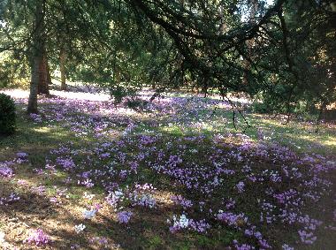 Ferienhaus in Vesdun (Centre) oder Ferienwohnung oder Ferienhaus