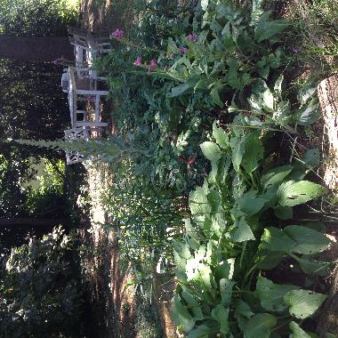Ferienhaus in Vesdun (Centre) oder Ferienwohnung oder Ferienhaus