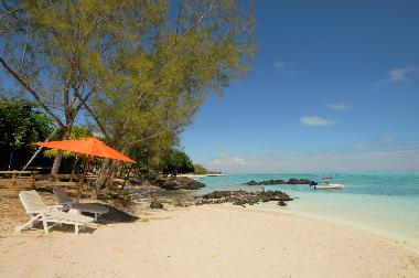 Ferienhaus in Roches Noires (Riviere du Rempart) oder Ferienwohnung oder Ferienhaus
