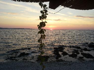Ferienhaus in Island of Silba (Zadarska) oder Ferienwohnung oder Ferienhaus