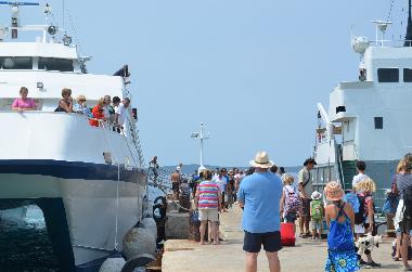 Ferienhaus in Island of Silba (Zadarska) oder Ferienwohnung oder Ferienhaus