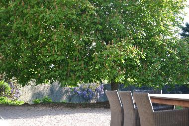 Ferienhaus in La Pacaudiere (Loire) oder Ferienwohnung oder Ferienhaus