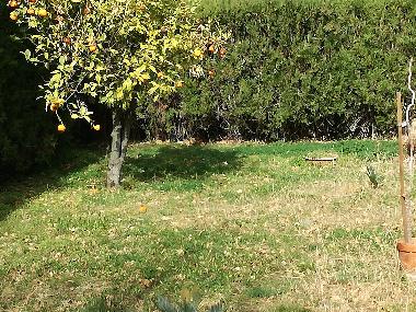 Ferienwohnung in Maier (Cosenza) oder Ferienwohnung oder Ferienhaus