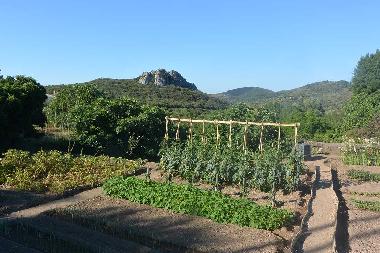 Ferienhaus in Vailhan (H�rault) oder Ferienwohnung oder Ferienhaus
