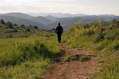 Ferienhaus in Vailhan (H�rault) oder Ferienwohnung oder Ferienhaus