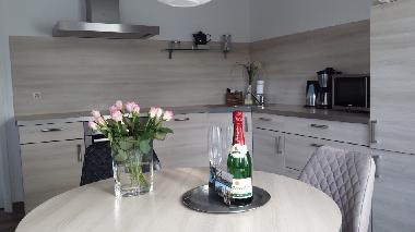 Ferienhaus in Friedrichskoog (Nordsee-Festland) oder Ferienwohnung oder Ferienhaus