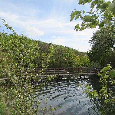 Ferienwohnung in Westkapelle (Zeeland) oder Ferienwohnung oder Ferienhaus