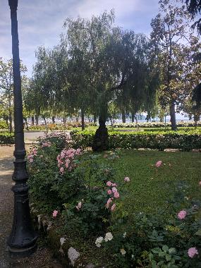 Ferienwohnung in La Spezia (La Spezia) oder Ferienwohnung oder Ferienhaus