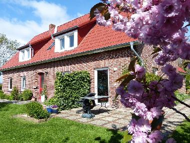 Ferienwohnung in Butjadingen (Nordsee-Festland / Ostfriesland) oder Ferienwohnung oder Ferienhaus