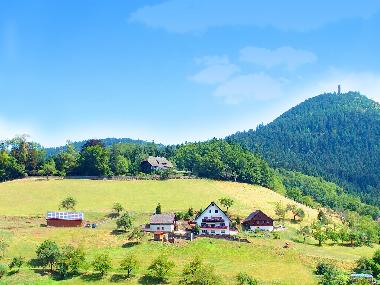 Ferienhaus - Ferienwohnungen Mllerbauernhof im Schwarzwald