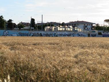 Ferienwohnung in Scerne di Pineto (Teramo) oder Ferienwohnung oder Ferienhaus