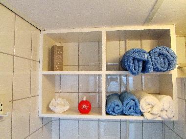 Ferienhaus in Zoutelande (Zeeland) oder Ferienwohnung oder Ferienhaus