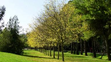 Ferienwohnung in italia (Perugia) oder Ferienwohnung oder Ferienhaus