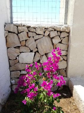 Ferienhaus in san pietro in bevagna (Taranto) oder Ferienwohnung oder Ferienhaus