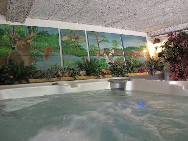 Villa in Schutzbach (Westerwald) oder Ferienwohnung oder Ferienhaus