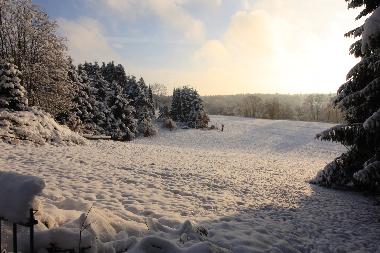 hauseigener Rodelhang