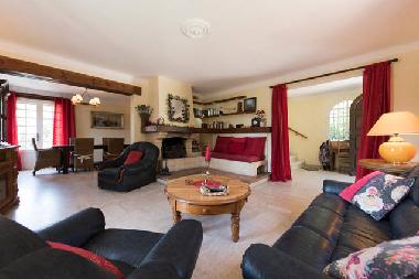 Salon mit Kamin und B�cherecke