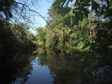 Chalet in Chiang Mai (Chiang Mai) oder Ferienwohnung oder Ferienhaus