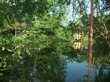 Chalet in Chiang Mai (Chiang Mai) oder Ferienwohnung oder Ferienhaus